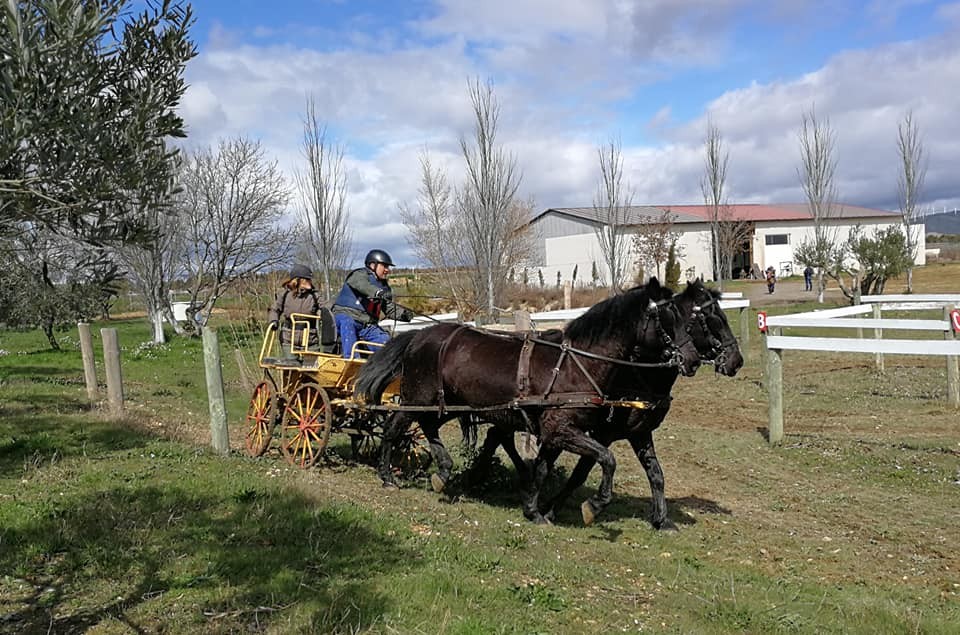 Resultados 1ª Fase del Campeonato Navarro de Enganches 2018 en el Club Deportivo Enganches Finca "La Pinturita"